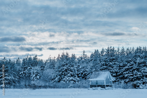 winter landscape with a house © Cody
