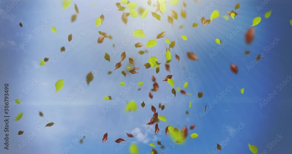 Animation of beautiful falling leaves in autumn background loop Animation of beautiful falling leaves in autumn background loop