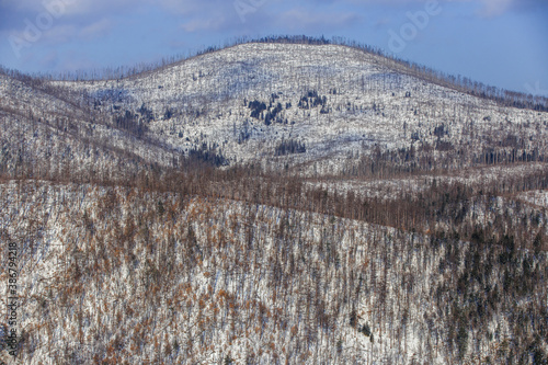 Russian winter in the mountains. View of the snow-capped mountains covered with bare trees and fir trees