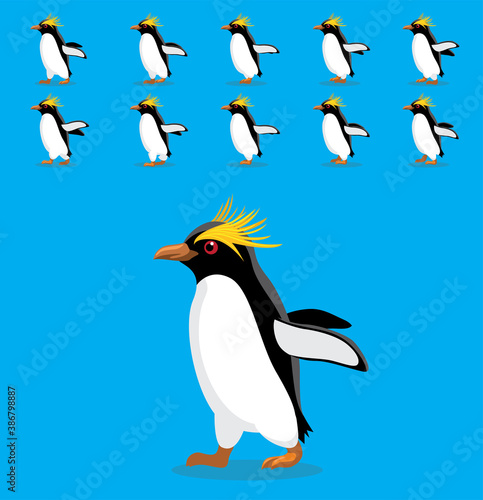 Animal Animation Sequence Macaroni Penguin Cartoon Vector