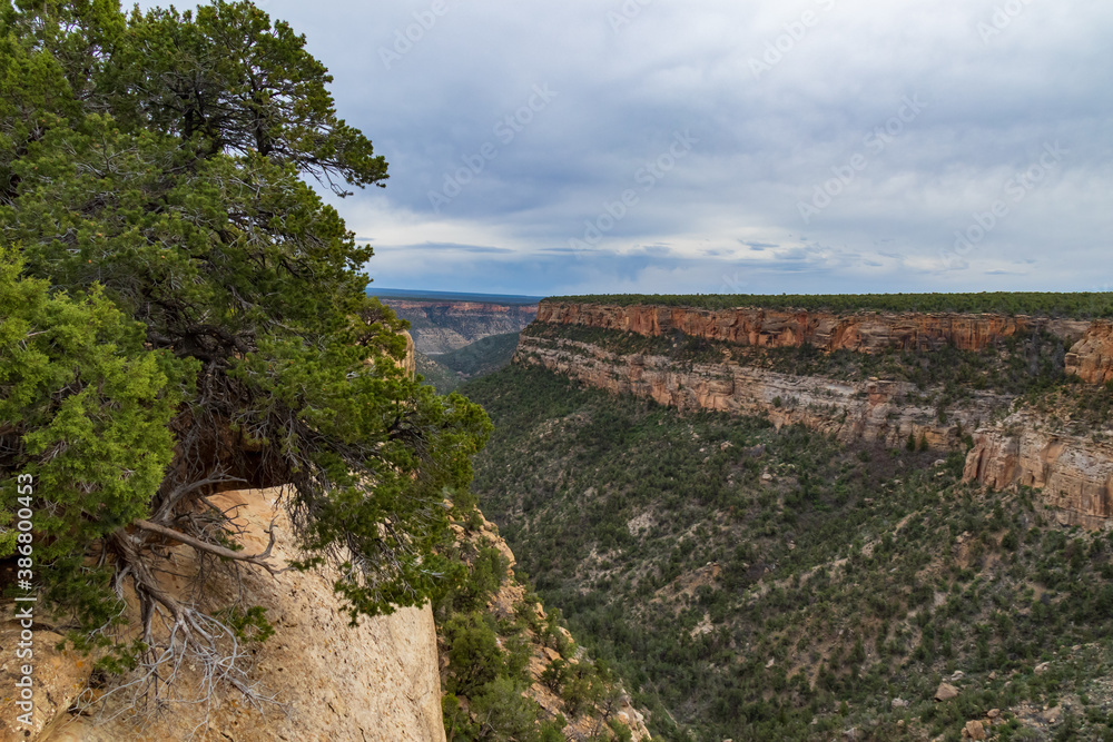 Canyon at Mesa Verde National Park