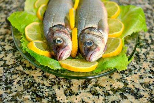 Two fresh fish in a glass dish on a vegetable base. Dicentrarchus labrax photo