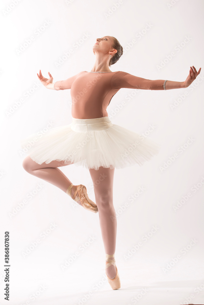 Young woman ballet dancer on pointe in the studio. Young woman ballet dancer on pointe in the studio.