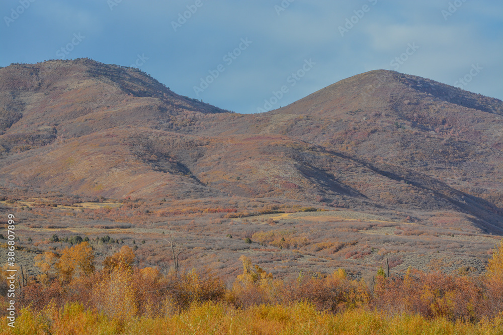 Beautiful autumn leaf colors in the Uinta National Forest of the Uinta Mountains in Utah Beautiful autumn leaf colors in the Uinta National Forest of the Uinta Mountains in Utah