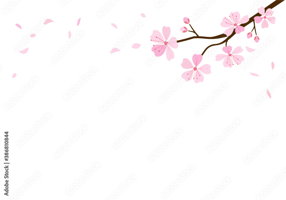 Pink cherry blossom branch on pink blur background vector. Sakura Japanese flower.