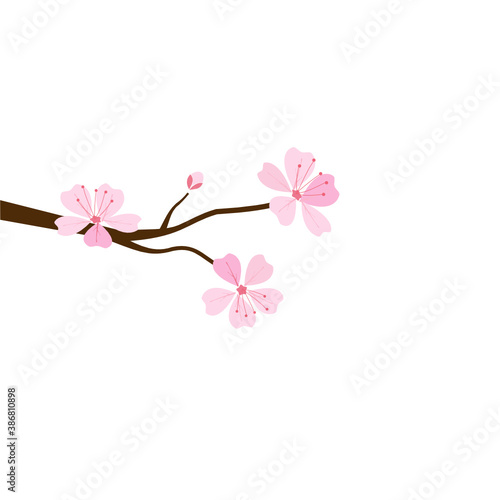Pink cherry blossom branch on pink blur background vector. Sakura Japanese flower.