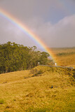 Rainbow in the pasture, Haleakala Highway, Maui, Hawaii