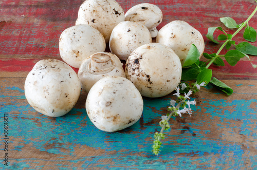 mushrooms and basil with flowers on wooden background with patina