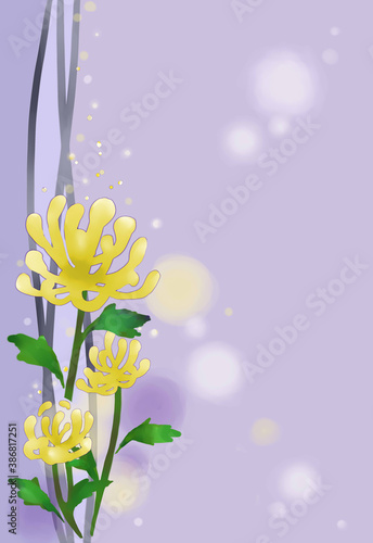 さみしい　菊の花　はがき　喪中