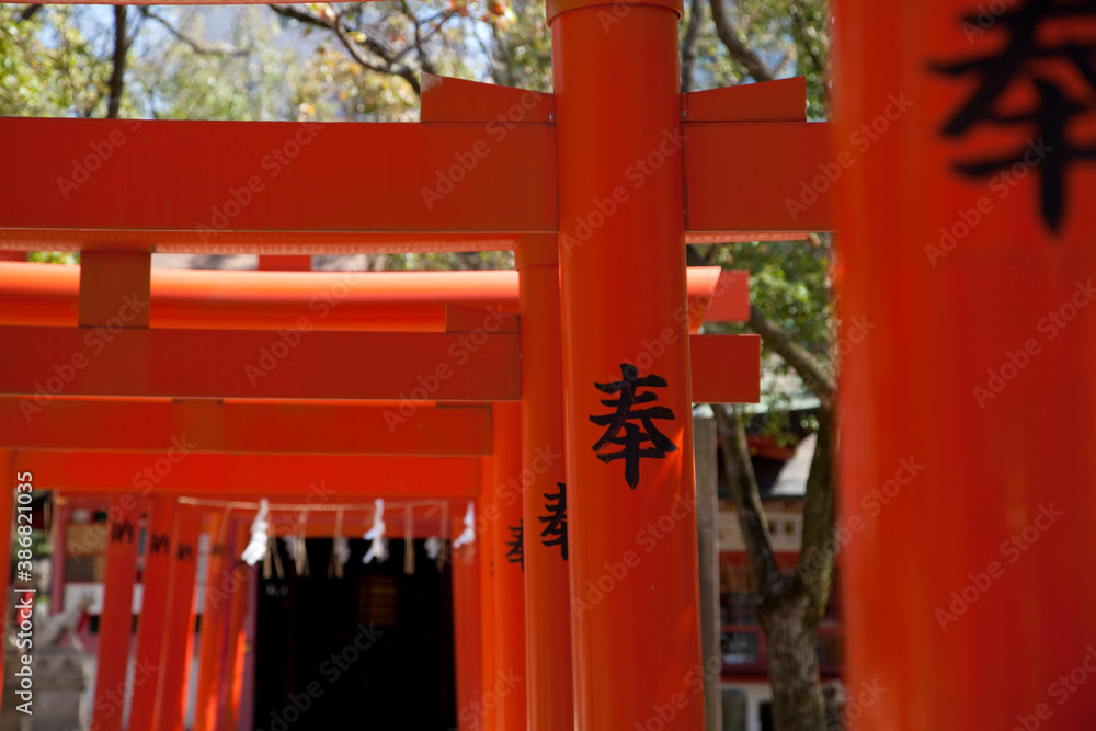 楠本稲荷神社の鳥居