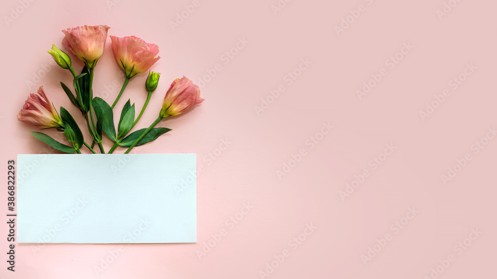 Sheet of paper and branch of flowers, copy space. Blank space for greetings.