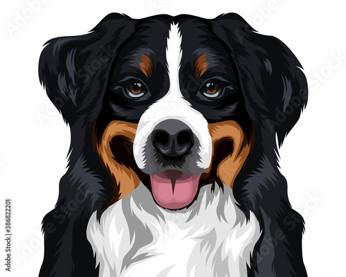 mountain dog illustration amazing artwork on isolated white background