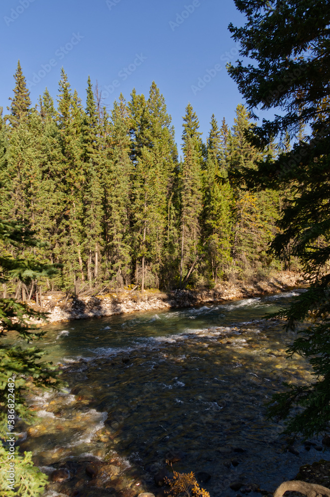 Maligne River on a Clear Autumn Day Maligne River on a Clear Autumn Day