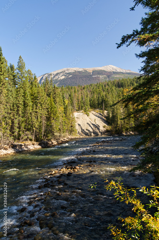 Maligne River on a Clear Autumn Day