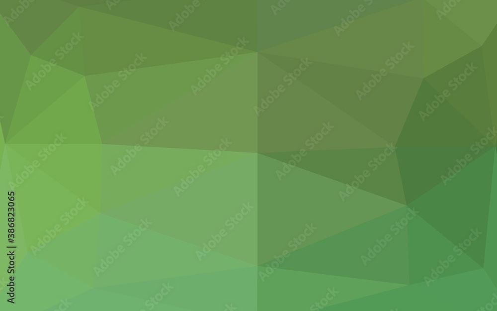 Fototapeta premium Light Green vector abstract polygonal texture.