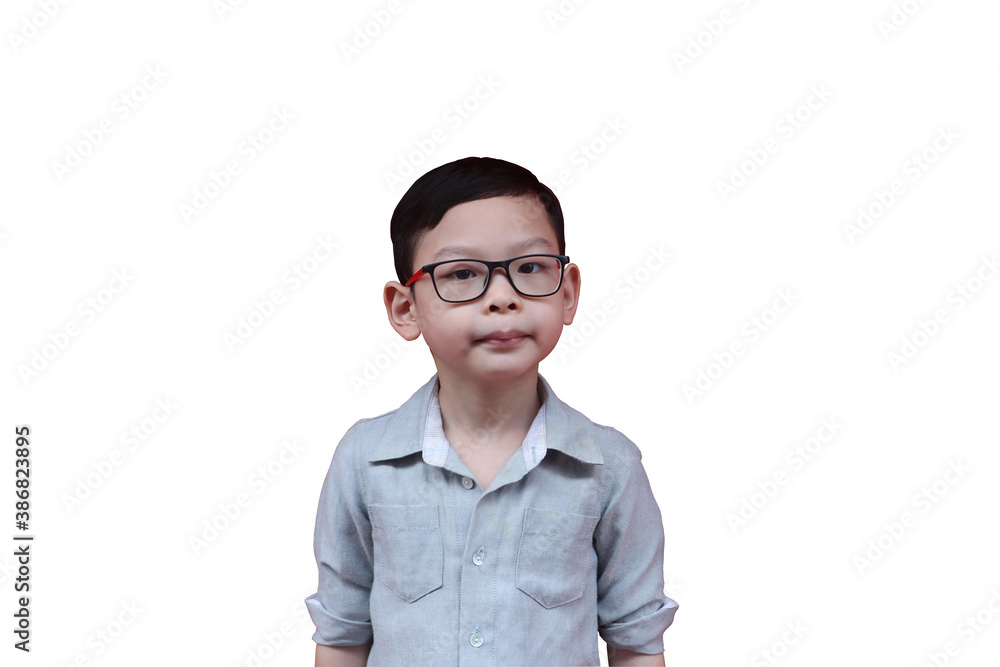 a standing boy wearing glasses and grey shirt is isolated on white background (clipping path included) a standing boy wearing glasses and grey shirt is isolated on white background (clipping path included)