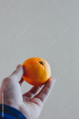 cropped view of man holding orange tangerine in hand isolated on white