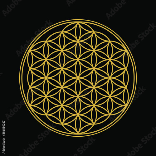 Flower of Life design image, vector illustration. Sacred geometry, symbol healing and balance. Gold edition.