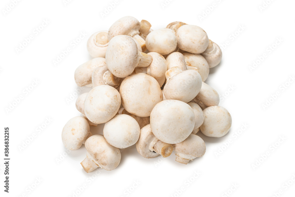 Champignon mushroom isolated on white background. Champignon mushroom isolated on white background.