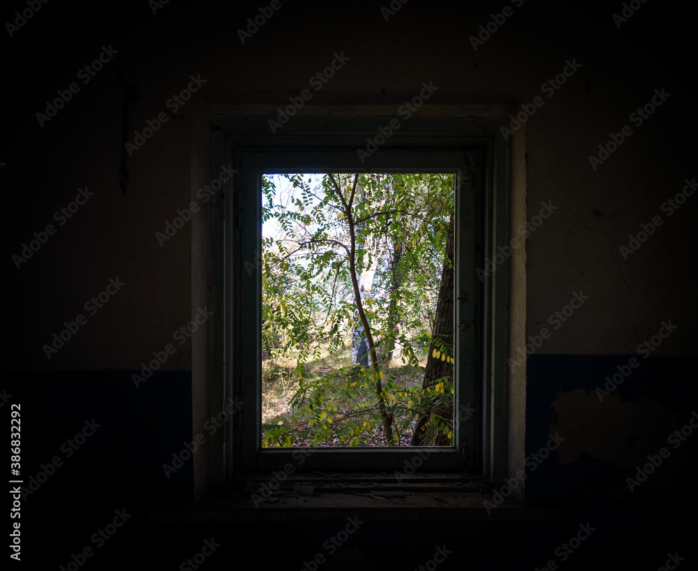Fototapeta premium view from the window of an abandoned abandoned house in the village of Ukraine