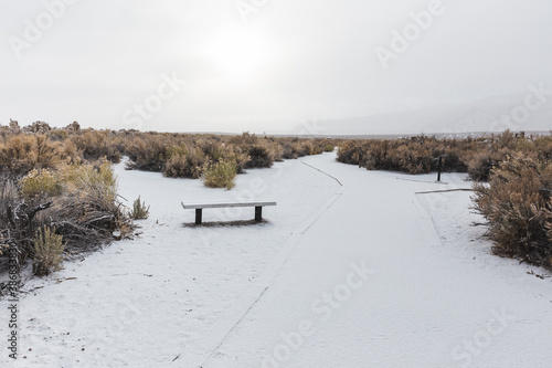 empty bench in snow covered desert