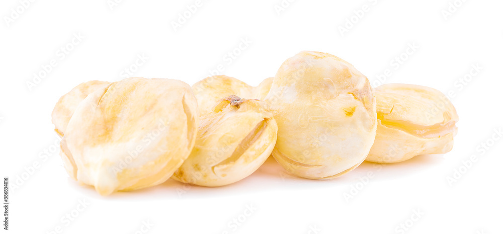 Asian Palmyra palm, Toddy palm, Sugar palm an isolated on white background Asian Palmyra palm, Toddy palm, Sugar palm an isolated on white background