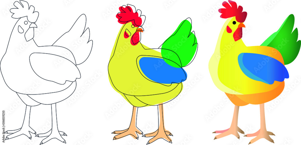 hen or cock colour and black and white hen or cock colour and black and white