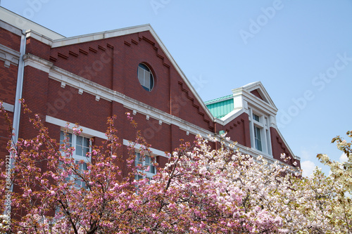 造幣局博物館と桜