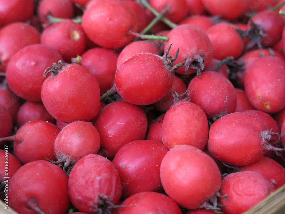 scattering of red hawthorn berries lie in a basket scattering of red hawthorn berries lie in a basket