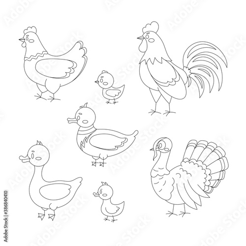 Farm birds line art set isolated on white background. Cute linear domestic bird character - turkey  duck  goose  gosling  hen  chicken  rooster. Vector flat design poultry collection illustration.