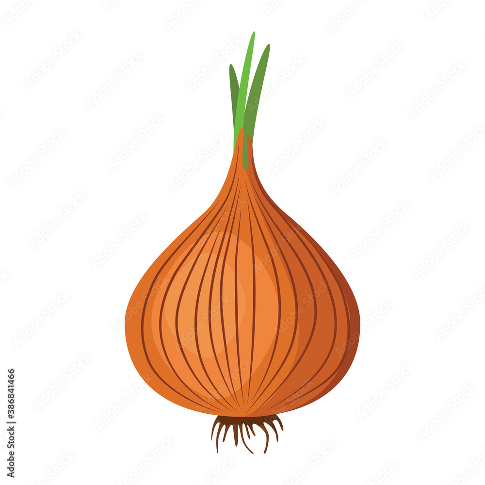 Onion. Delicious and healthy vegetable used in food. A root vegetable that is prepared as a seasoning. Vector illustration isolated on a white background for design and web.