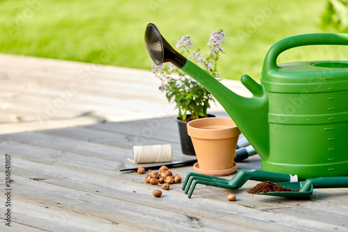 gardening, farming and planting concept - watering can, garden tools, pots and flowers on wooden terrace in summer