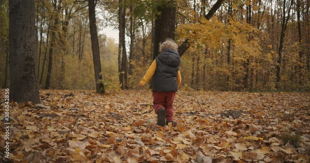good day in autumn forest, little boy is running and having fun, following shot, rear view, happy childhood good day in autumn forest, little boy is running and having fun, following shot, rear view, happy childhood