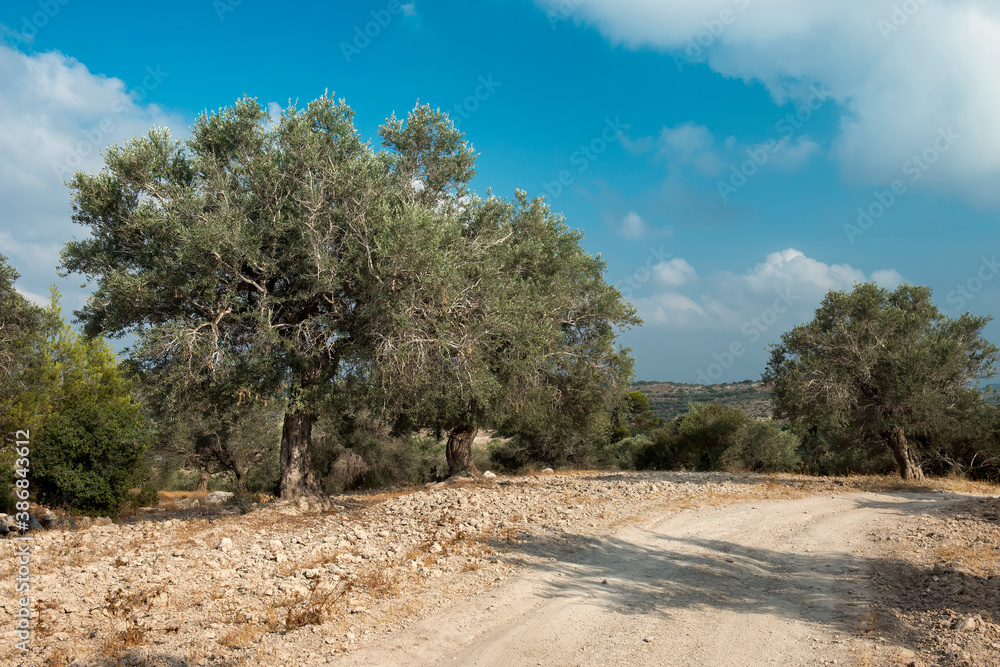 Biblical motif with countryside road and holy hills near Jerusalem, Israel