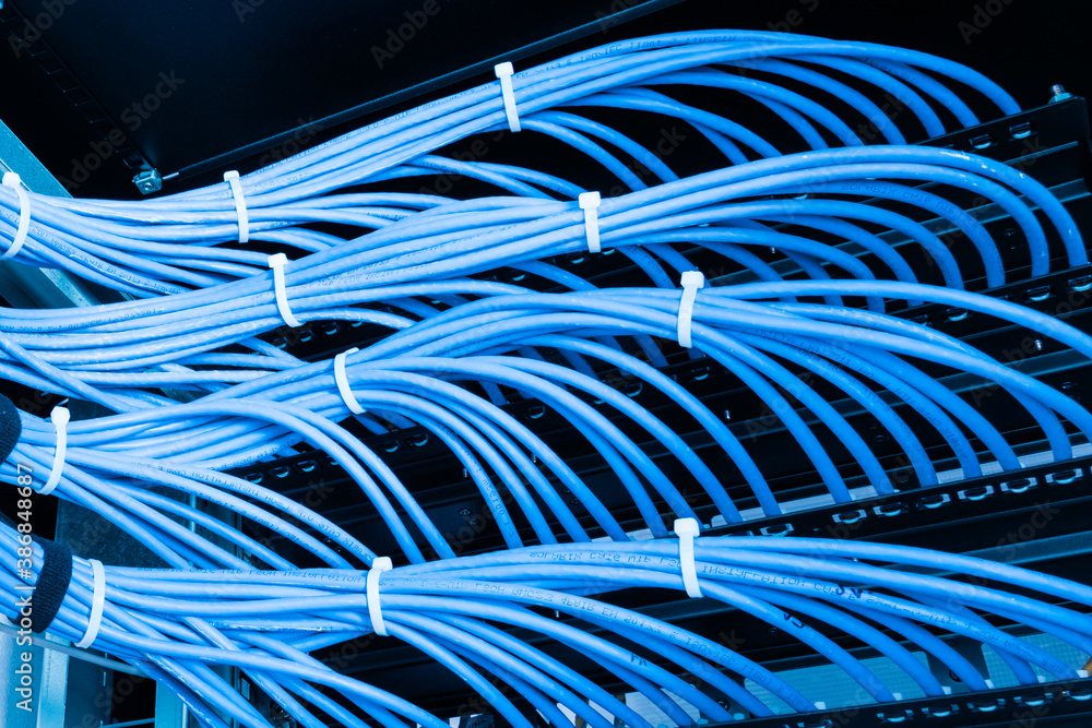 Wall Mural large group of UTP cables, Ethernet cables in rack cabinet, lead