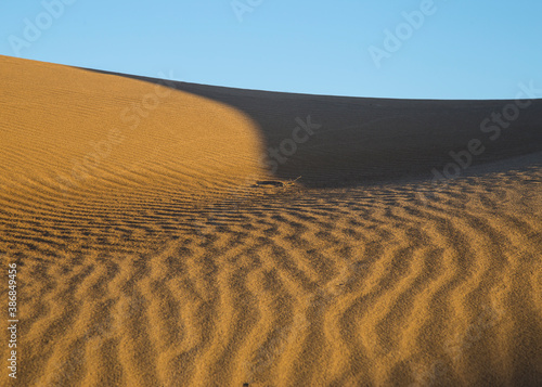 wave pattern on sand dunes in the desert.
Dasht-e Kavir, Iran. photo