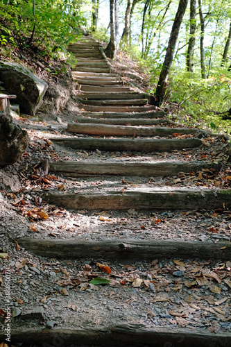 Hiking trail in the forest. Steps among the trees leading to the mountain. Sochi  Russia