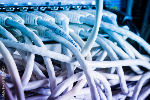 close-up of ethernet cables and switch