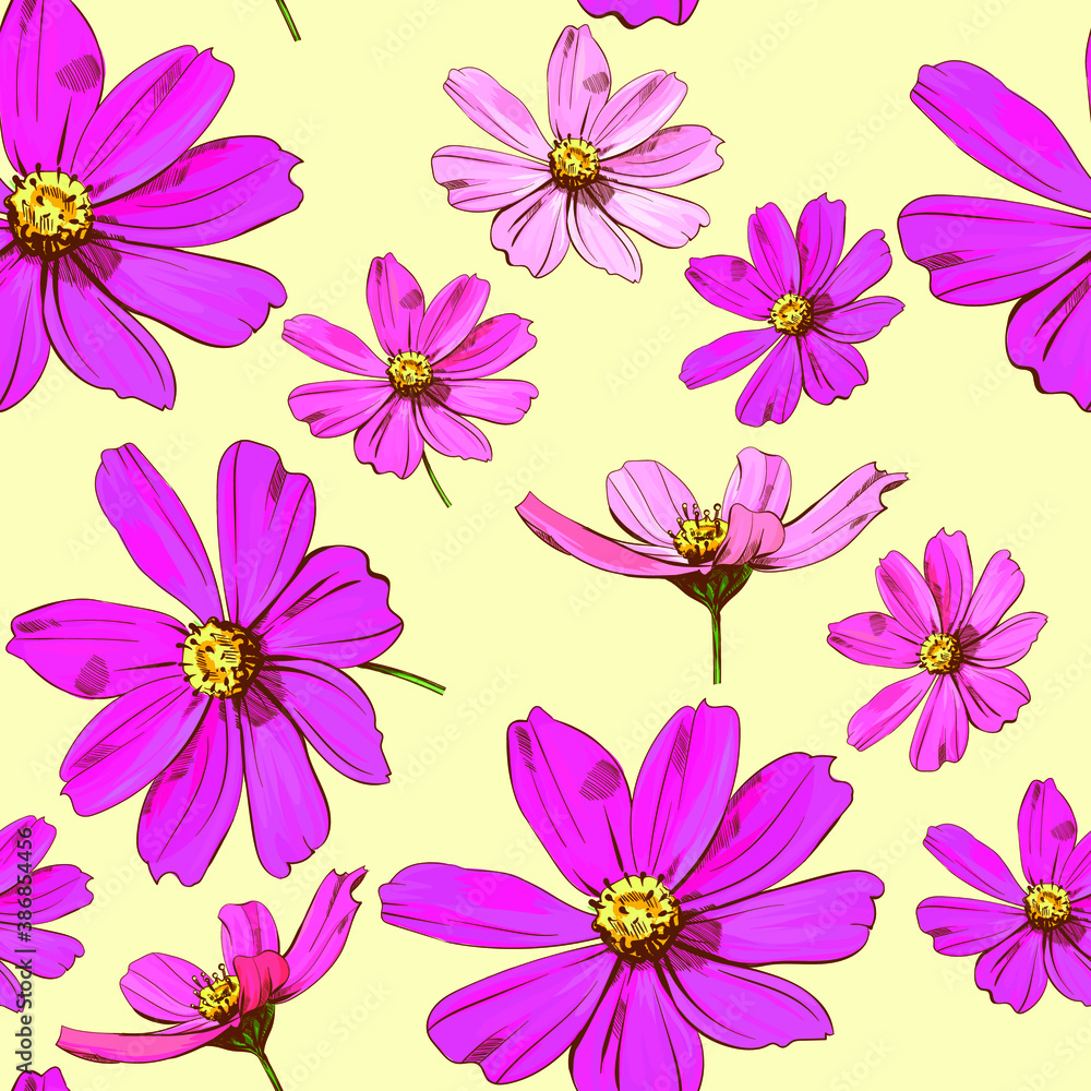 Beautiful cosmea flowers pattern. Vector flowers Beautiful cosmea flowers pattern. Vector flowers