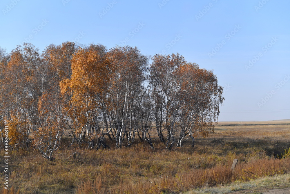 field, landscape, farm, nature, grass, sky, agriculture, rural, meadow, blue, summer, green, grazing, animal, cow, country, cattle, countryside, hay, pasture, farmland, farming, sheep, cows, clouds field, landscape, farm, nature, grass, sky, agriculture, rural, meadow, blue, summer, green, grazing, animal, cow, country, cattle, countryside, hay, pasture, farmland, farming, sheep, cows, clouds
