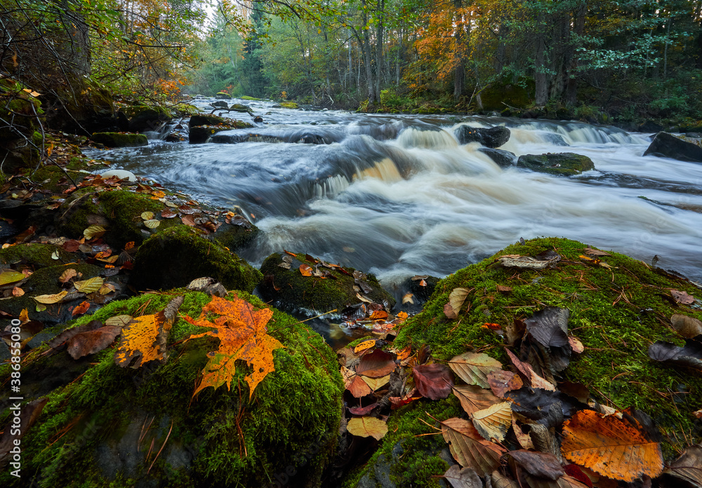 River in autumn time River in autumn time
