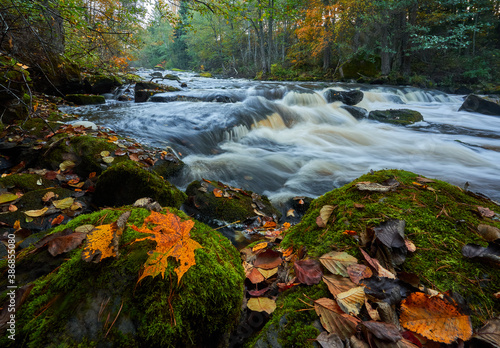 River in autumn time