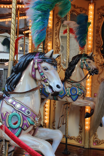 White Horse on Carousel