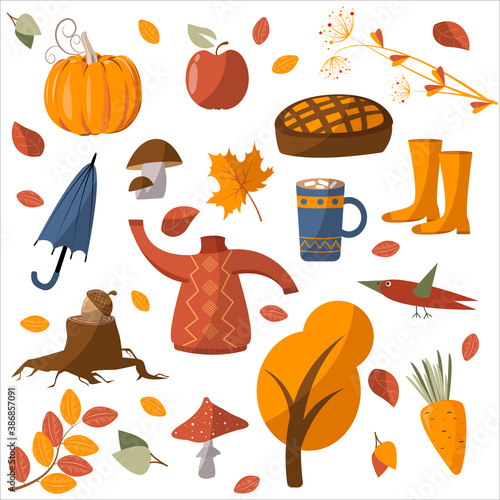 Autumn set, signs, collection. Leaves, tree, umbrella, mushroom, fly agaric, sweater, cocoa, pie, bird, crow, carrot, boots, pumpkin, apple, maple, acorn.