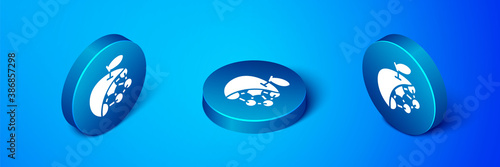 Isometric Biological structure icon isolated on blue background. Genetically modified organism and food. Blue circle button. Vector.
