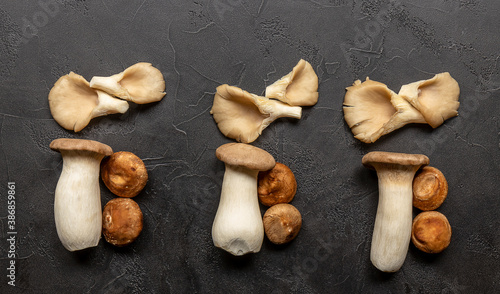 Schilderij op canvas Mushrooms knolling concept