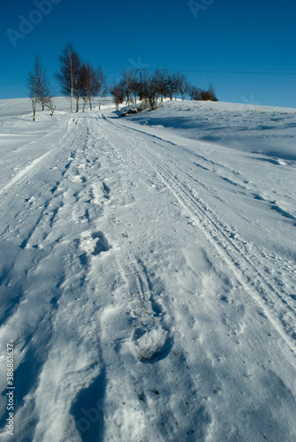 path in winter © Sarka