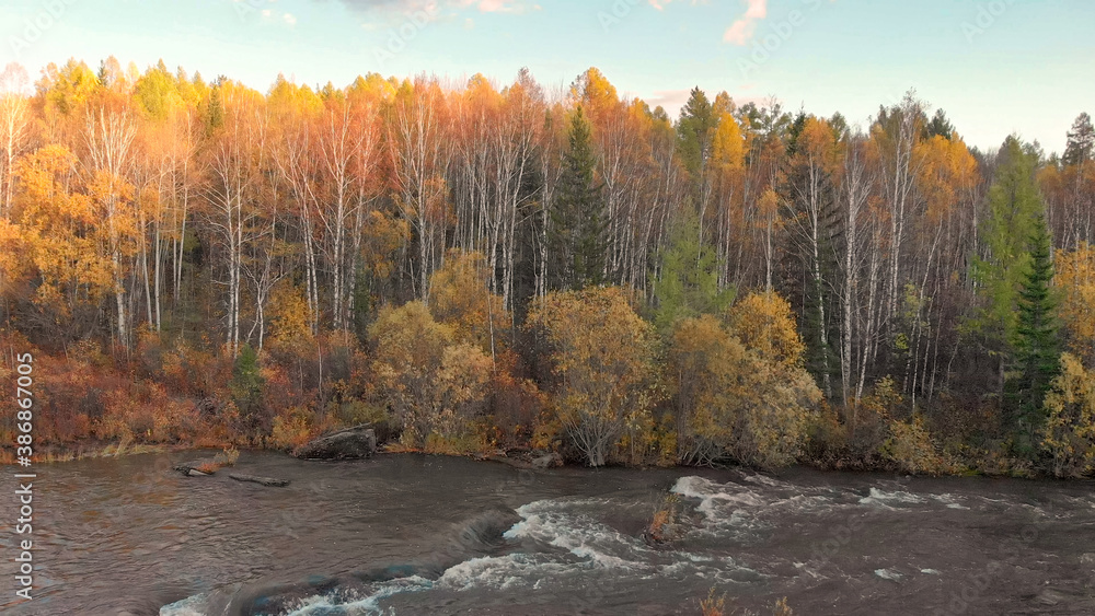 Fotografie Stream of mountain river and fall forest