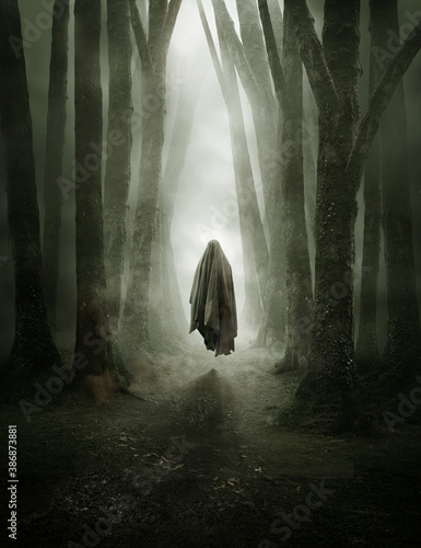 Obraz na plátne A dark ghostly figure moving through a misty forest in the evening