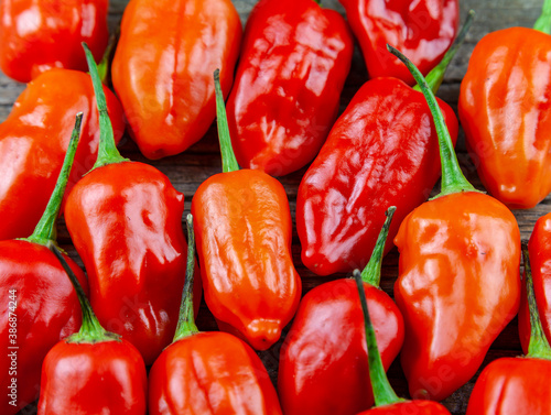 Assorted fresh and fiery hot chili peppers photo